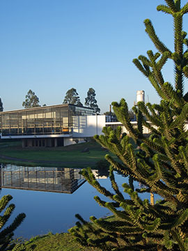 Facultad de Recursos Naturales