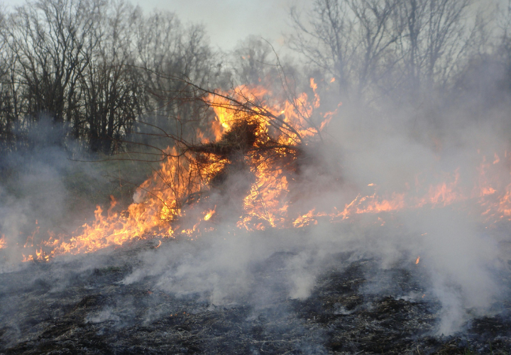 300 Incendios y 57% más de superficie afectada: Expertos llaman a intensificar prevención ante aumento de Incendios Forestales en la  región