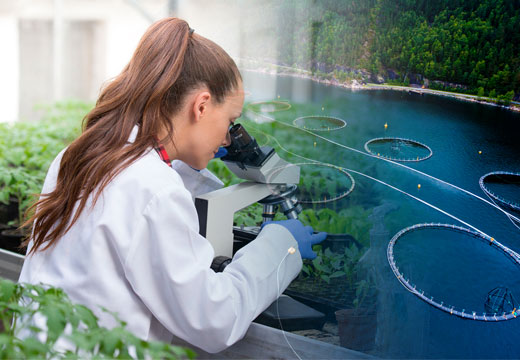 Doctorado en Ciencias Agropecuarias