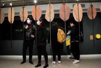 Inauguran exposición “Árboles Torcidos” en la Galería de Arte UCT