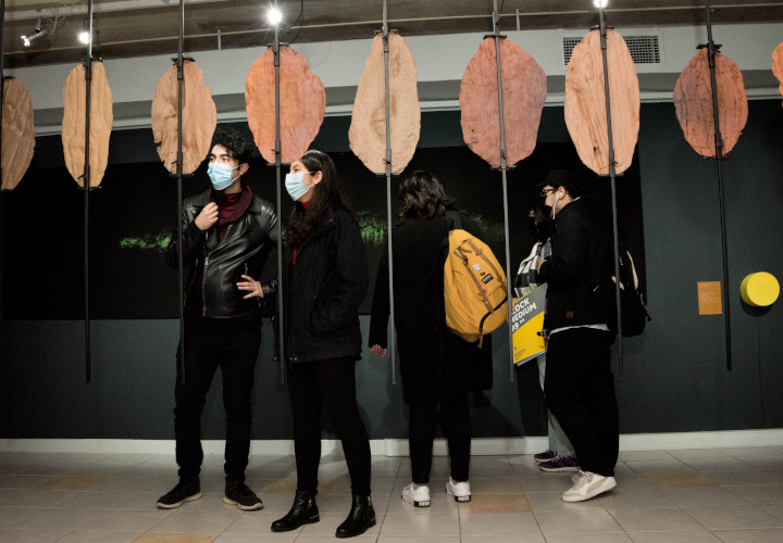 Inauguran exposición "Árboles Torcidos" en la Galería de Arte UCT