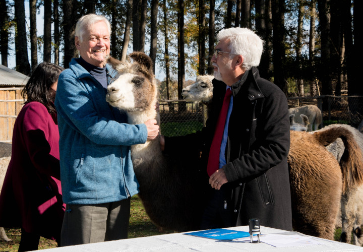 La UCT suscribió un convenio de colaboración con Fundación Anímate para terapias asistidas con animales