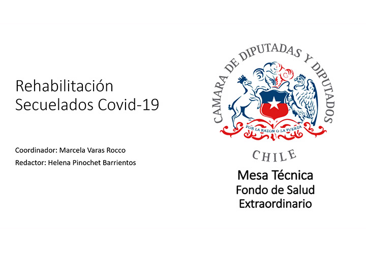 Fac. Ciencias de la Salud UCT participa en Sub-mesas Técnicas de Salud Mental y Rehabilitación de la Cámara de Diputados