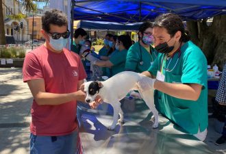 Voluntarios de Medicina Veterinaria vacunaron más de 100 mascotas para la Teletón