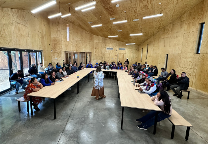 UC Temuco fortalece la educación intercultural con nuevo Diplomado en Didáctica de la Lengua y Cultura Mapuche
