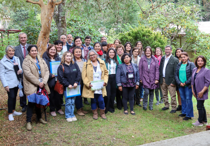 Plantas medicinales y desarrollo productivo: UCT cerró investigación sobre potencial fitoterapéutico en Valdivia