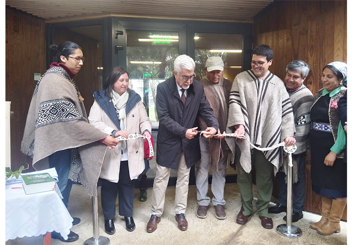 Kimeltuwpem: un nuevo espacio para la revitalización de la cultura mapuche en la UCT