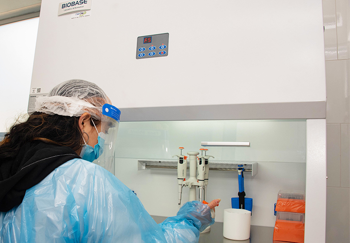 UCT inaugura Laboratorio de Epidemiología Molecular que reducirá tiempos de diagnóstico de gripe aviar en La Araucanía