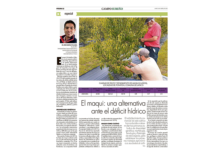 Investigador UCT destaca propiedades del Maqui