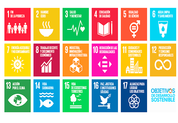 UCT participará de la próxima edición de Ranking de Impacto de la Educación Superior de la ONU