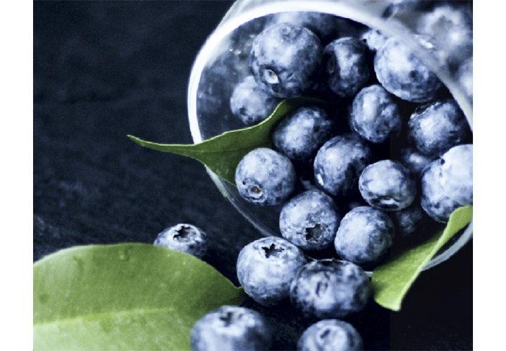 Académico UCT invitado a participar en Simposio Internacional de Fruticultura y Cambio Climático
