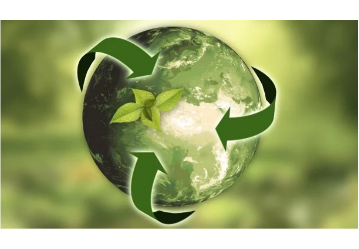 La Importancia de la Sustentabilidad en la Estrategia Universitaria: UCT Participa en Seminario Híbrido