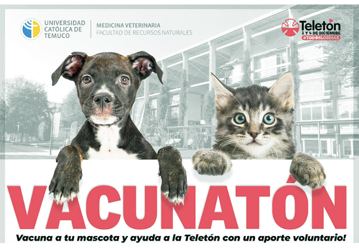 Voluntarios de Medicina Veterinaria organizan operativo para colaborar con la Teletón