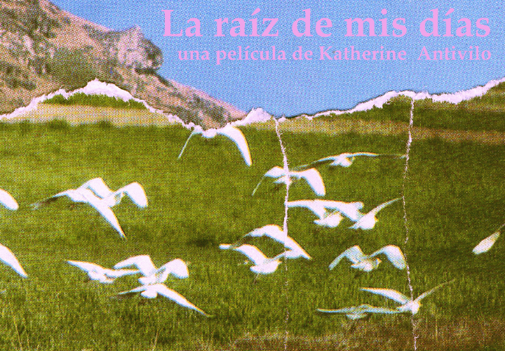 Cineasta Katherine Antivilo: "La soledad tiene sus costos y el documental intenta mostrar eso, entre otros temas universales como la vejez, la memoria, la muerte"