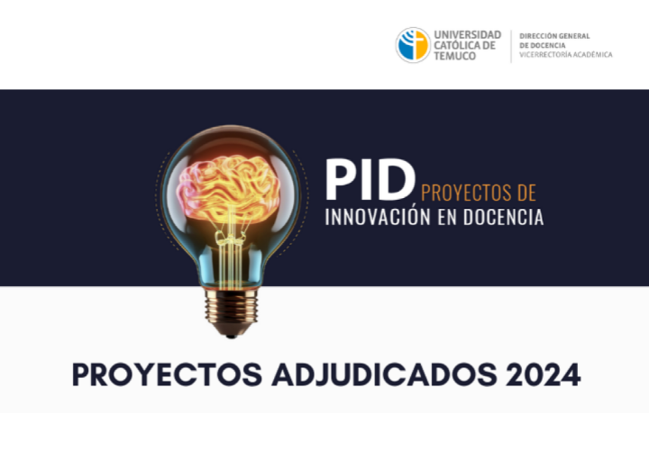 Diez iniciativas resultaron ganadoras en la adjudicación de Proyectos de Innovación en Docencia 2024