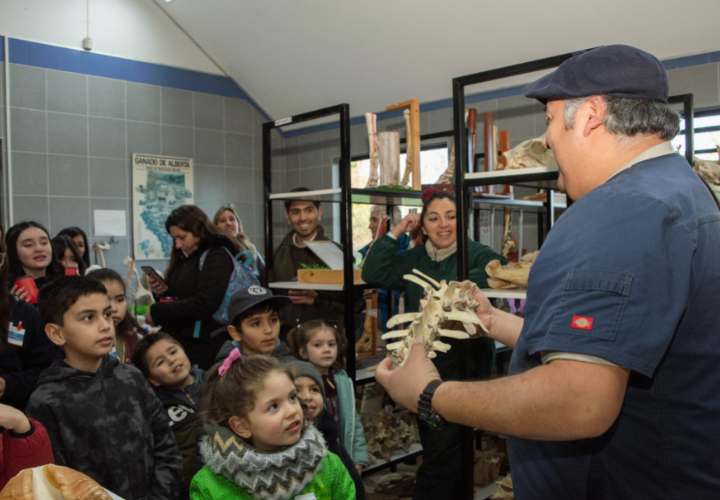 Una tarde con mi mamá o mi papá en la UCT: niñas y niños disfrutaron de recorridos y actividades recreativas