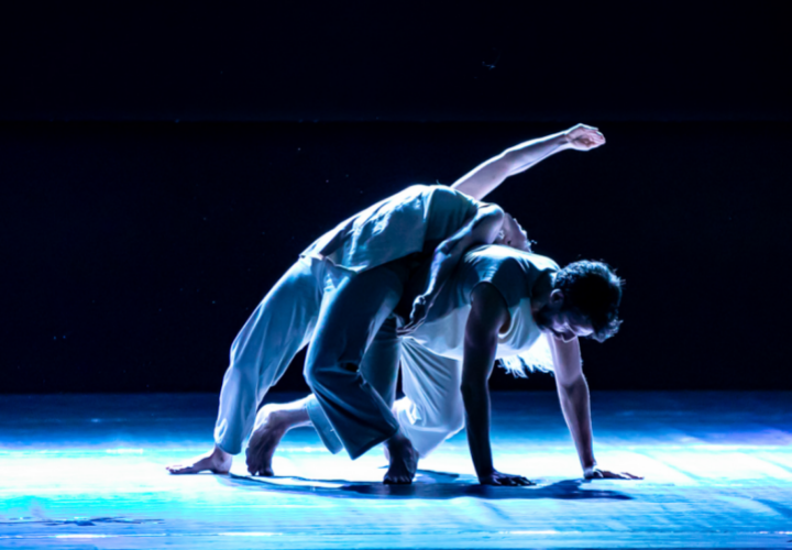 Creadoras revelan detalles de Ecos, obra de danza contemporánea sobre el inconsciente