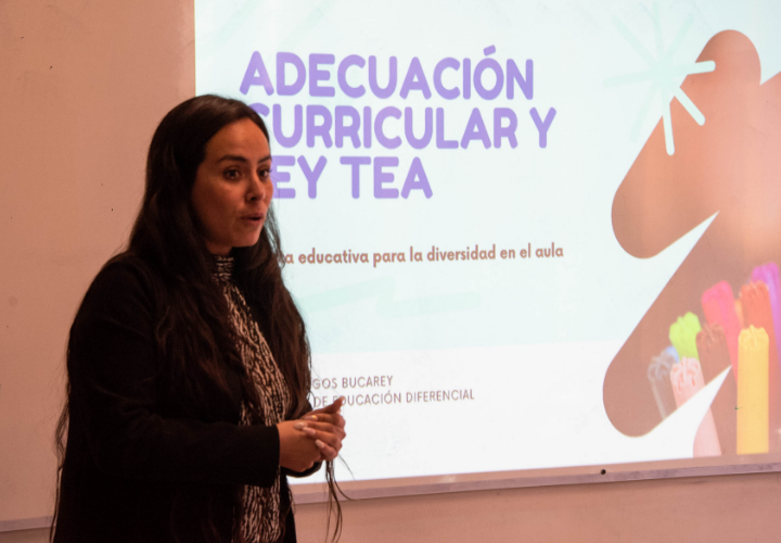 Adecuación Curricular: análisis de la Ley TEA