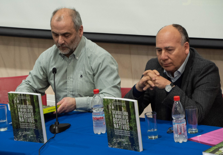 Académico de la UCT lanza libro sobre manejo y recuperación de bosques nativos