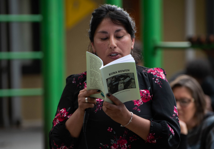 Sureñas: proyecto en curso de la UCT registra cerca de 200 escritoras en La Araucanía