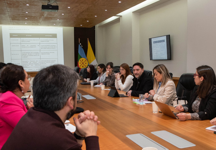 SENDA e instituciones de educación superior establecen Mesa Regional de Prevención de Consumo de Sustancias