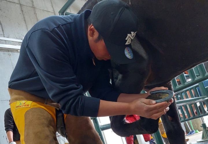 Medicina Veterinaria UCT trabaja vinculada a comunidades de Padre Las Casas