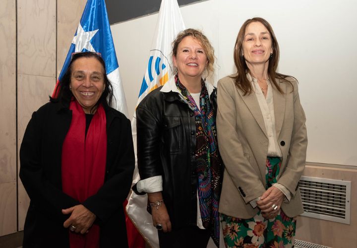 Exitoso Seminario de Derecho y Género UCT contó con expositoras nacionales e internacionales