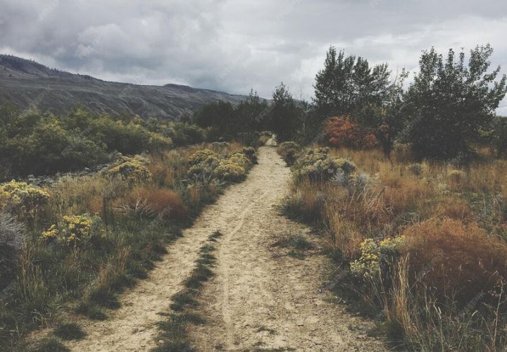 Rutas Viales de los Pueblos Ancestrales: la influencia de las comunidades autóctonas en el desarrollo de Chile