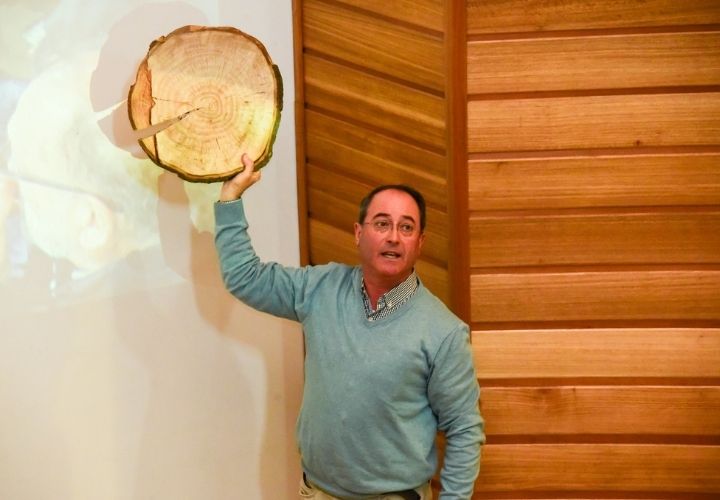 Situación actual de las plantaciones nativas en Chile y perspectivas en torno al cambio climático