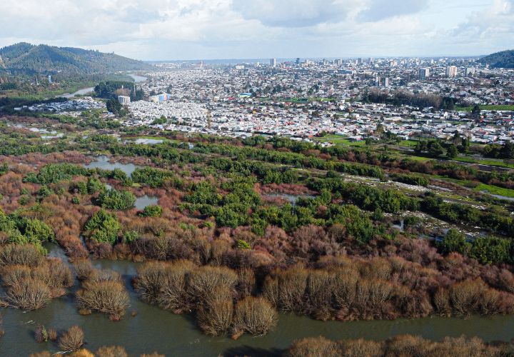Universidad Católica de Temuco ejecutará proyecto sobre cuidado y rescate de humedal Antumalén