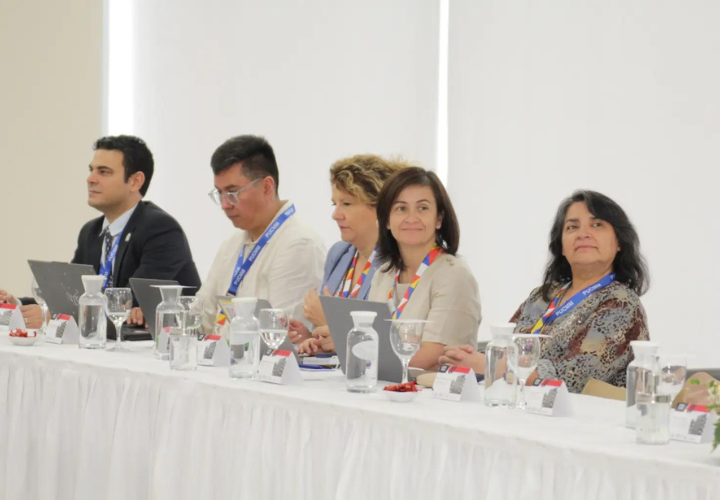 UCT participa de reunión latinoamericana para curso formativo