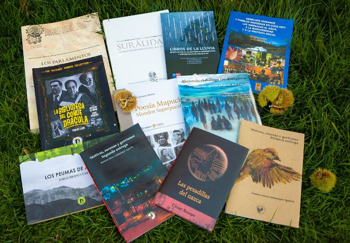 Suralidad Editorial: Proyecto UCT busca visibilizar y poner en valor el quehacer de las editoriales del sur de Chile
