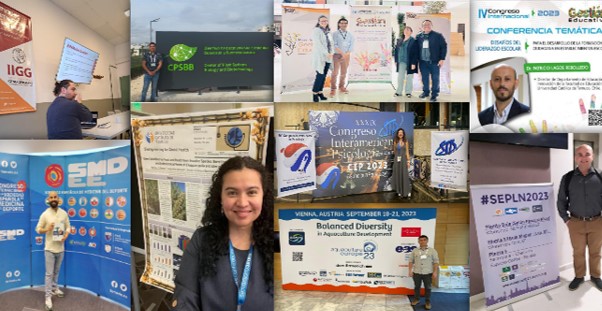 Culmina proyecto Internacionalización que permitió fortalecer las capacidades de la UCT en investigación y posgrado