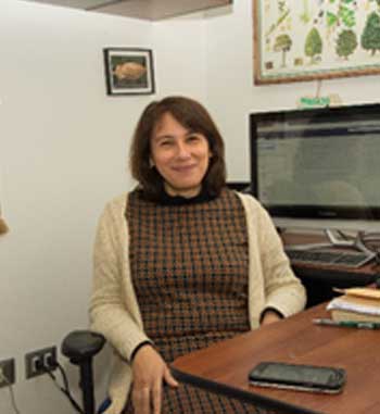 Jéssica Lorena Sepúlveda Pizarro