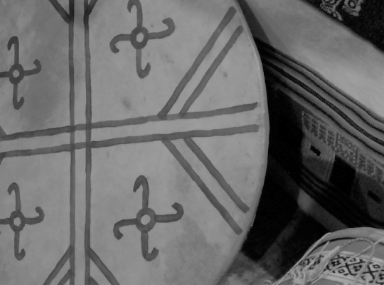 Pedagogia en Educación Básica Intercultural en Contexto Mapuche