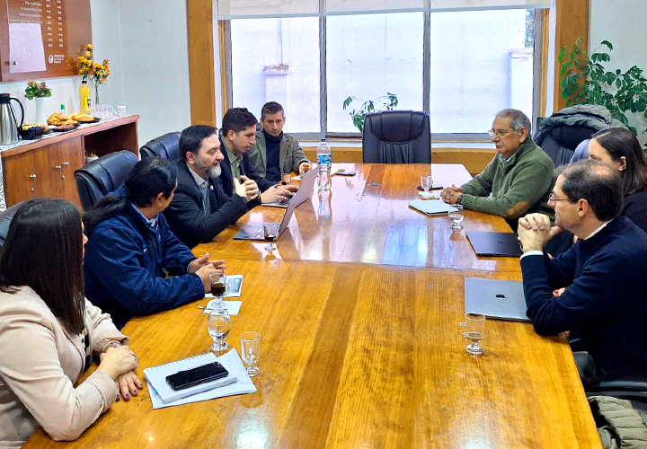 Universidad Católica de Temuco recibió a investigadores internacionales y avanza en colaboración académica