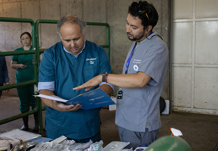 UCT y Colegio Médico Veterinario preparan voluntarios en manejo de animales afectados por incendios forestales