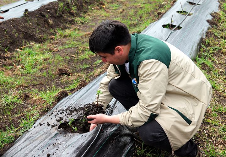 Universidad Católica de Temuco impulsa la agricultura sostenible con nuevo módulo de frutales nativos