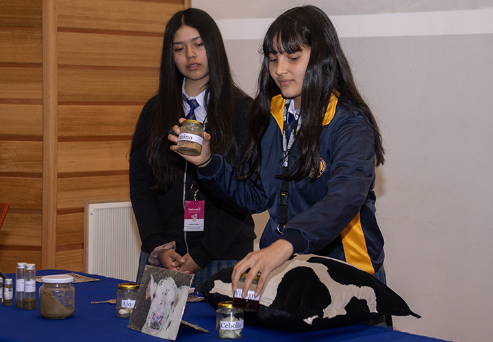 Agroinnovación en manos jóvenes: estudiantes de La Araucanía brillan en la final de SaviaLab