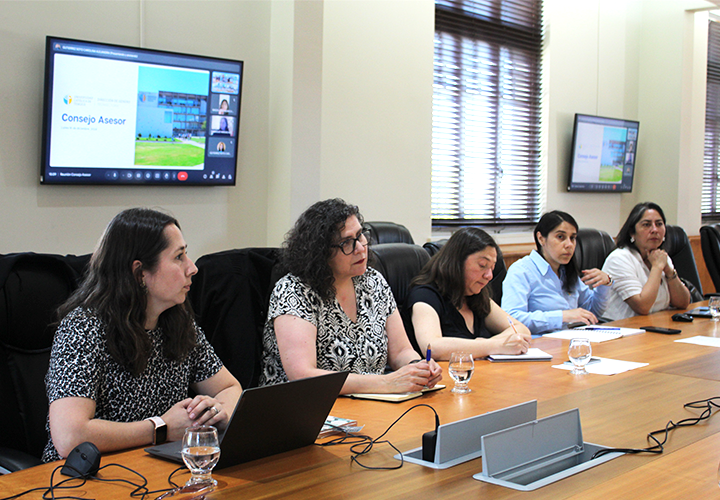 Se realizó la segunda reunión anual del Consejo Asesor de la Dirección de Género UCT