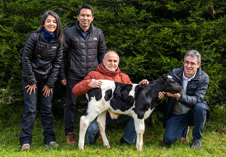 Investigadores logran nacimiento de terneras mediante avanzada técnica de reproducción asistida