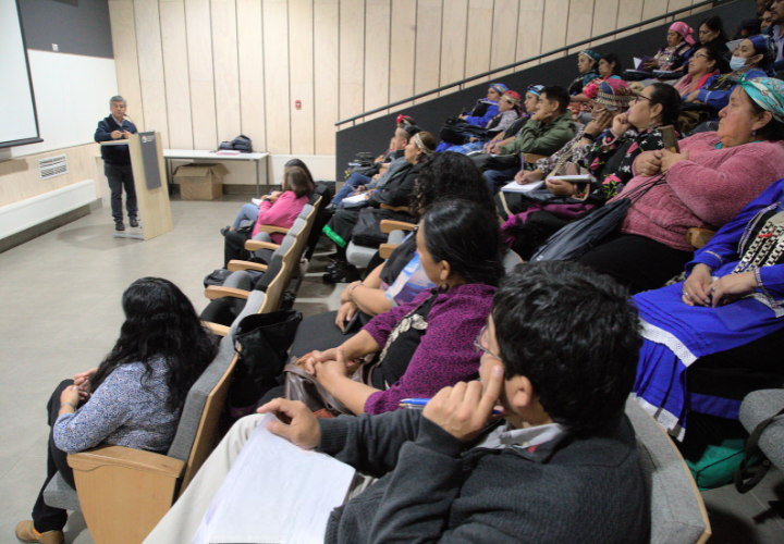UCT lanza primer diplomado en lengua y cultura mapuche para 40 educadores tradicionales de La Araucanía